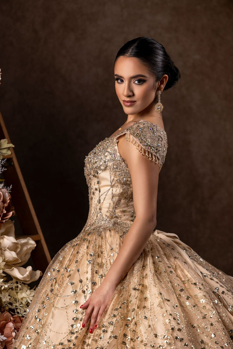 Dylan & Davids Long Quinceanera Dress Ball Gown– sheerdreamz