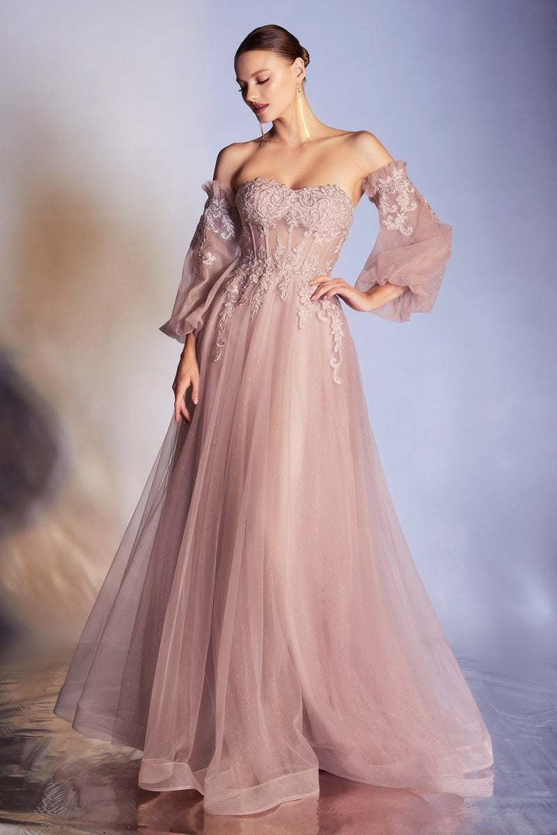 cinderella divine cd0186 - applique corset prom dress CD0186 | FITTED DRESS Ladivine by Cinderella Divine