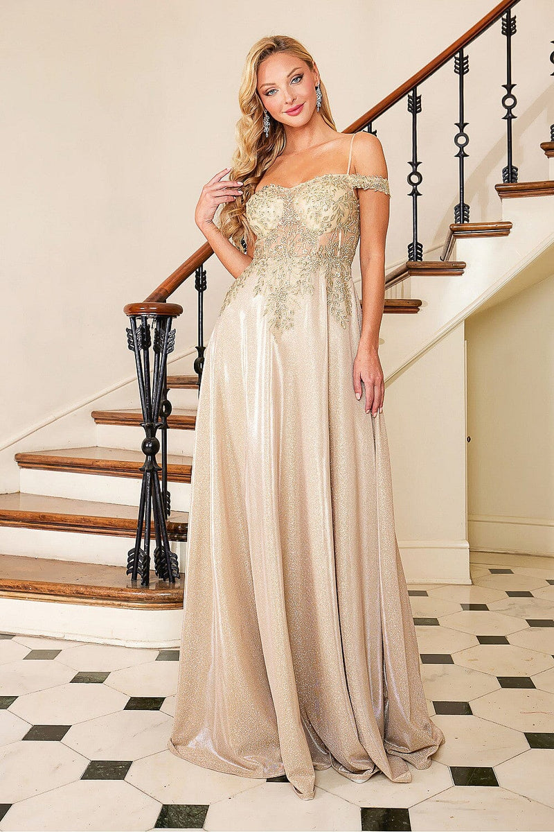 Adora 3097: A-line Gown with Applique Detailing, Glitter Accents, and –  sheerdreamz