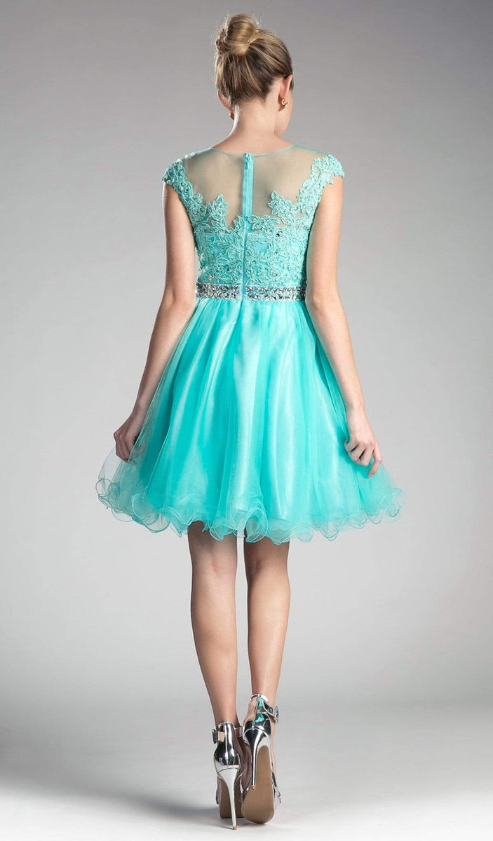 Cinderella Cocktail Dress