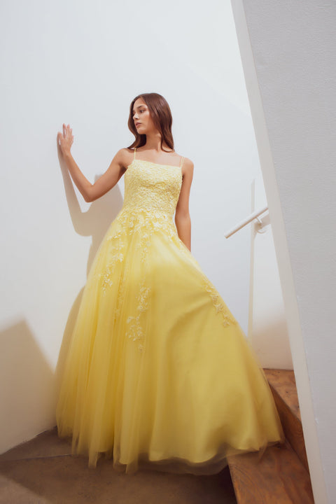 Eureka 9757 embroidered sleeveless a-line gown — 0003119