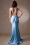 Amelia Couture TM1018 Fitted Sleeveless Appliqué Gown