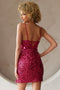 Amelia Couture 5057S Short Sequin Dress with Mirror Beading