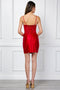 Short V-Neck Homecoming Dress by Amelia Couture 9063S