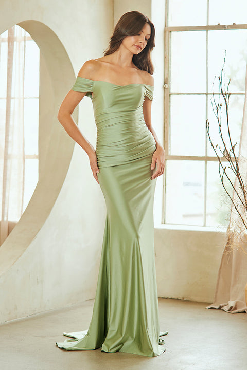 Fitted Satin Off-Shoulder Formal Gown by Amelia Couture 3101