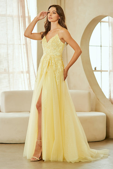 V-Neck Appliqué A-Line Evening Gown by Amelia Couture 9079