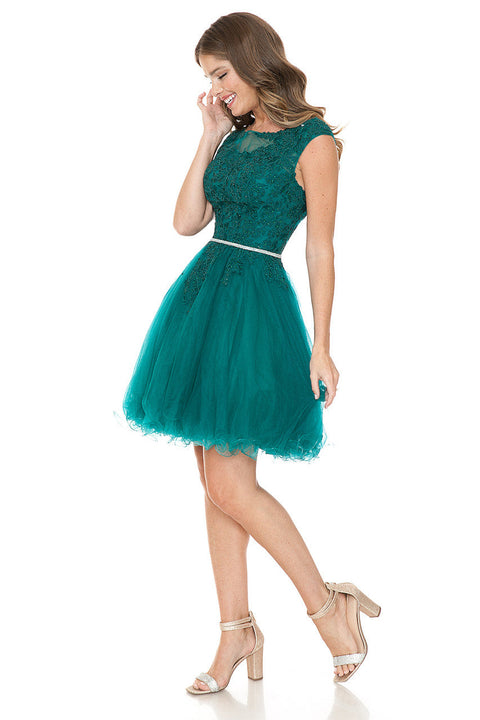 Short Homecoming A Line Lace Applique Cocktail Dress Lenovia 8177