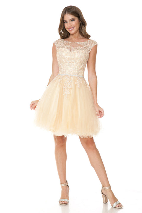 Short Homecoming A Line Lace Applique Cocktail Dress Lenovia 8177