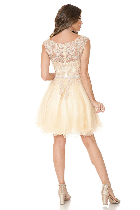 Short Homecoming A Line Lace Applique Cocktail Dress Lenovia 8177