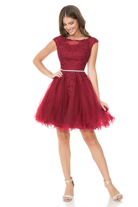 Short Homecoming A Line Lace Applique Cocktail Dress Lenovia 8177