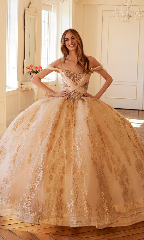Juliet JT1488H Regal Quinceañera Gown with Intricate Embroidery and Dramatic Tulle Skirt