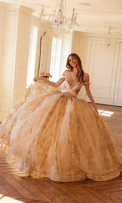 Juliet JT1488H Regal Quinceañera Gown with Intricate Embroidery and Dramatic Tulle Skirt