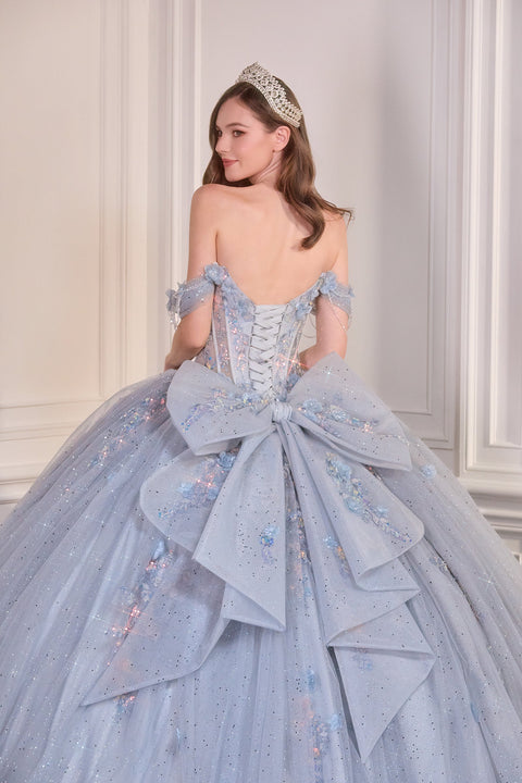Ladivine 15728 applique off shoulder ball gown — product view