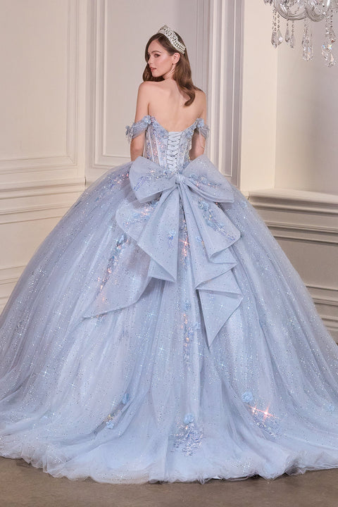 Ladivine 15728 applique off shoulder ball gown — back view