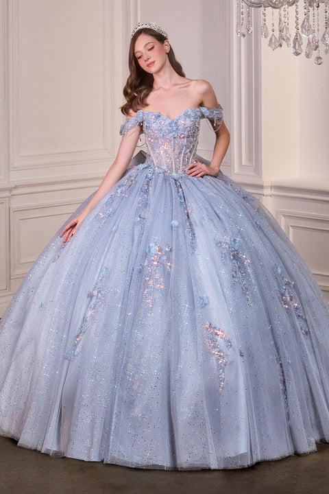Ladivine 15728 applique off shoulder ball gown — front view
