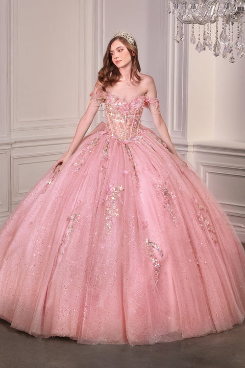 Ladivine 15728 applique off shoulder ball gown — front view