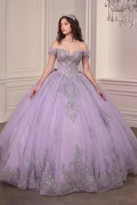 Ladivine 15730 applique sweetheart ball gown — product view