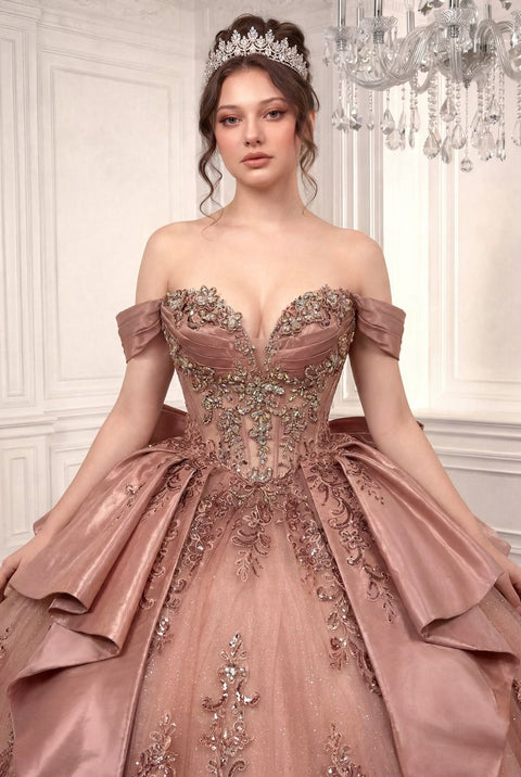 Ladivine 15745 applique off shoulder ball gown — product view