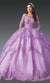 Dancing Queen 1956 Enchanting Quinceañera Ball Gown with Beaded Bodice and Layered Tulle Skirt