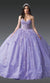 Dancing Queen 1967 Enchanting Quinceañera Ball Gown with Glitter Embellishments and Royal Silhouette