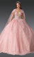 Dancing Queen 1970 Enchanting Quinceañera Ball Gown with Embroidered Details and Princess Silhouette