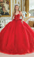 Dancing Queen 1989 Enchanting Quinceañera Ball Gown with Floral Appliqués and Royal Silhouette