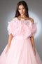 Amelia Couture SU079 3D Floral Organza Ball Gown with Ruffles