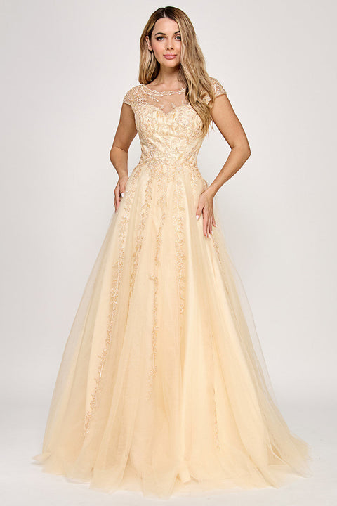 Formal Long A Line Evening Dress Lenovia 8349