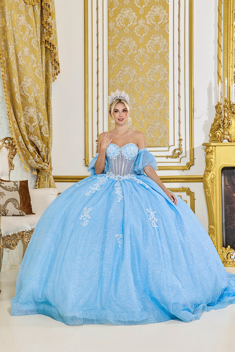 Dancing Queen 5064 - Floral Lace Appliques Glitter Ballgown