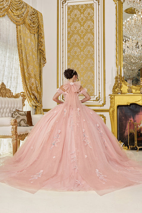 Dancing Queen 5096 - Off-Shoulder Beaded Floral Applique Ballgown