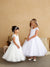 Girls Cap Sleeved Lace Applique Dress with Mesh Overlay Skirt, Sizes 2-16