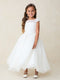 Girls Sparkling  Glitter Dress with Lace Appliqué 2-16 By Tip Top