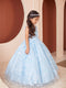 Princess Girls Lace Ball Gown Dress, Sizes 2-16 by Tip Top
