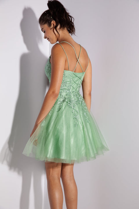 Eureka 9727 applique short sleeveless a-line dress — SAGE2