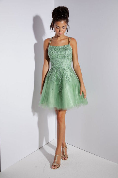 Eureka 9727 applique short sleeveless a-line dress — SAGE