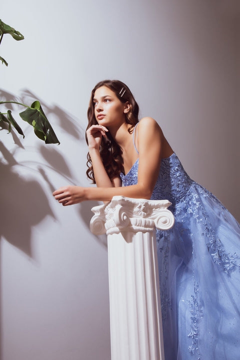 Eureka 9757 embroidered sleeveless a-line gown — BAHAMABLUE