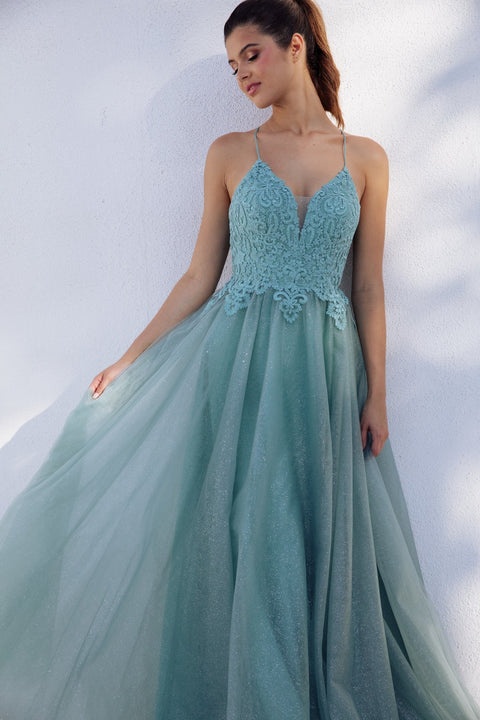 Eureka 9901 applique sleeveless a-line gown — SAGE2