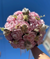 Blush Pink Quinceañera Bouquet
