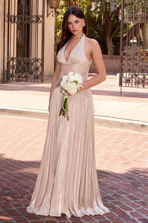 Ladivine CD412 chiffon halter a-line slit gown — front view