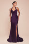 Ladivine CD796C Plus Size Satin Fitted Halter Gown