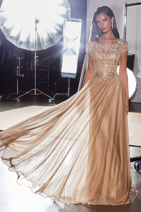Ladivine CL11 beaded short sleeve a-line gown — product view