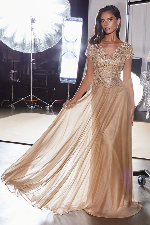 Ladivine CL11 beaded short sleeve a-line gown — front view