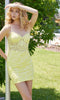 Short Sheath Lace Homecoming Dress: Nox Anabel D980