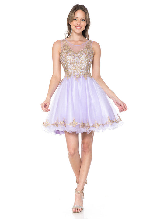 A Line Short Homecoming Cocktail Dress Lenovia 8101