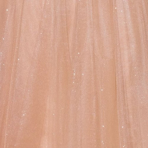 Ladivine CDS577 beaded halter a-line gown — product view