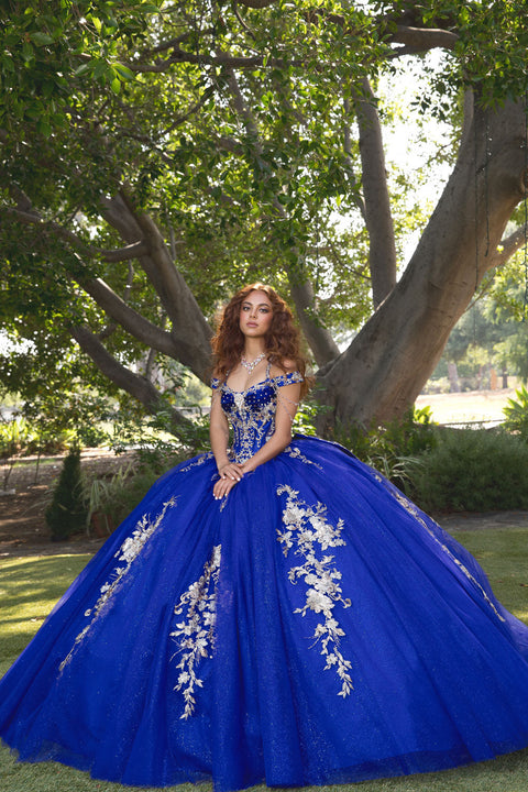 Bella Princess PQ1076 beaded off shoulder ball gown by petite adele pq1076 — image 6.0