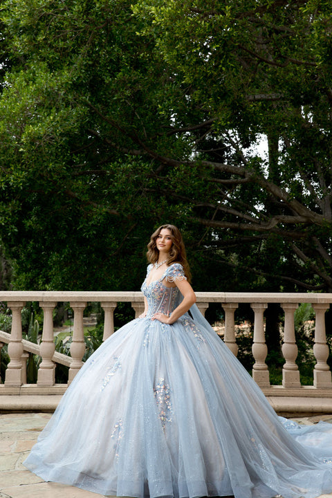 Bella Princess PQ1094 strapless cap sleeve ball gown by petite adele pq1094 — image 5.0