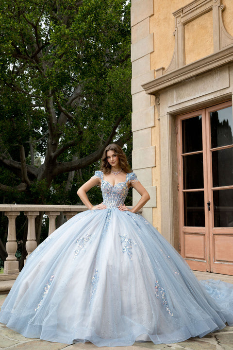 Bella Princess PQ1094 strapless cap sleeve ball gown by petite adele pq1094 — image 1.0