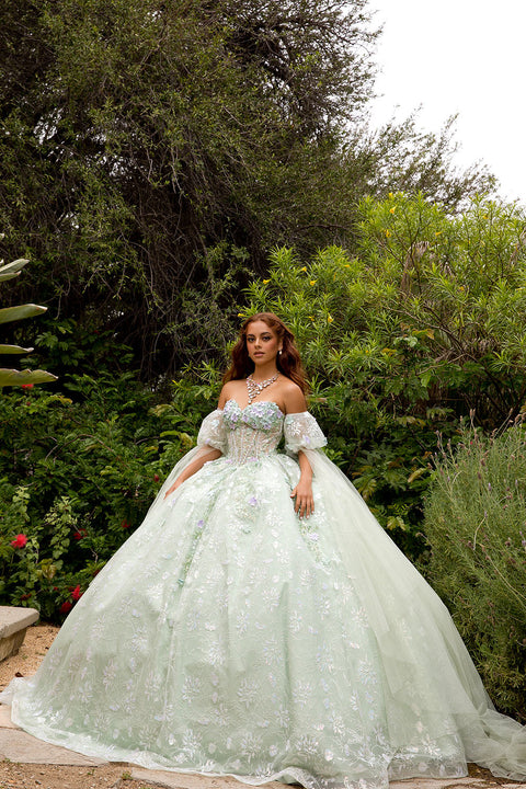 Bella Princess PQ1084 3d floral cape sleeve ball gown by petite adele pq1084 — image 9.0