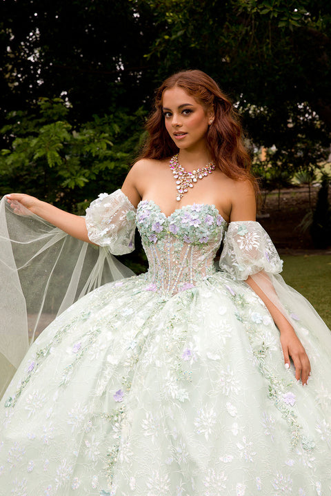 Bella Princess PQ1084 3d floral cape sleeve ball gown by petite adele pq1084 — image 14.0